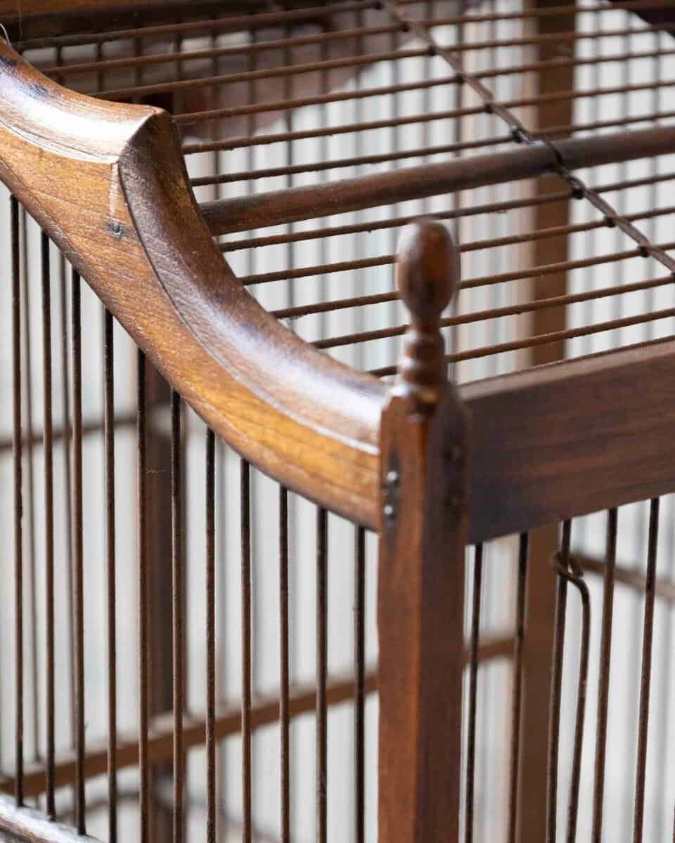 19th Century Bird Cage - JAA