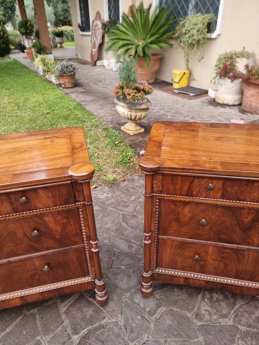 Pair of Carlo Decimo chests of drawers in veneered walnut wood Circa 1830 - JAA