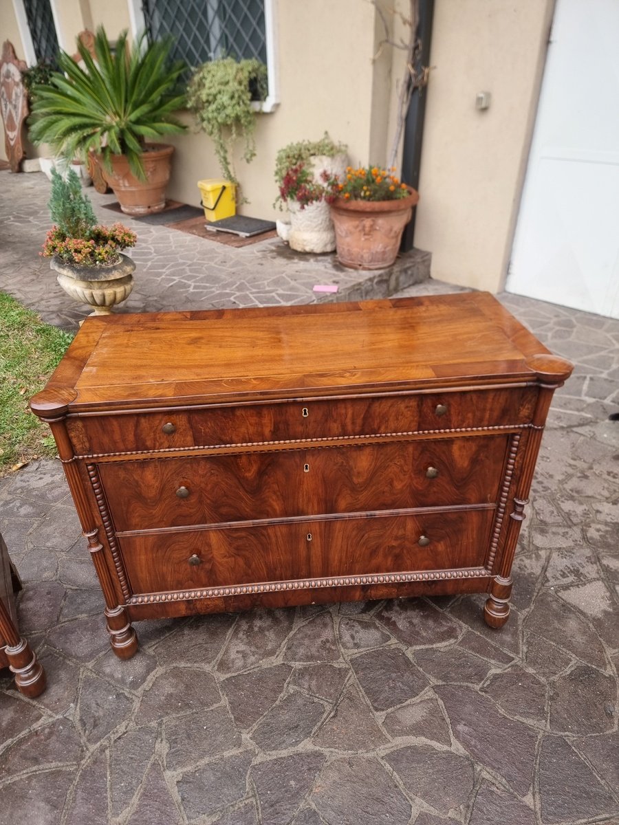 Pair of Carlo Decimo chests of drawers in veneered walnut wood Circa 1830 - JAA