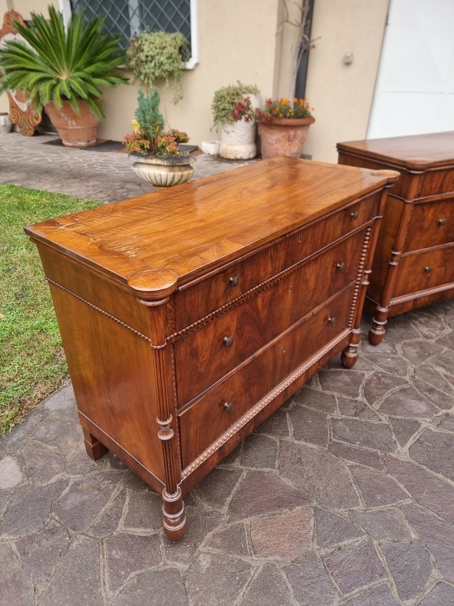 Pair of Carlo Decimo chests of drawers in veneered walnut wood Circa 1830 - JAA