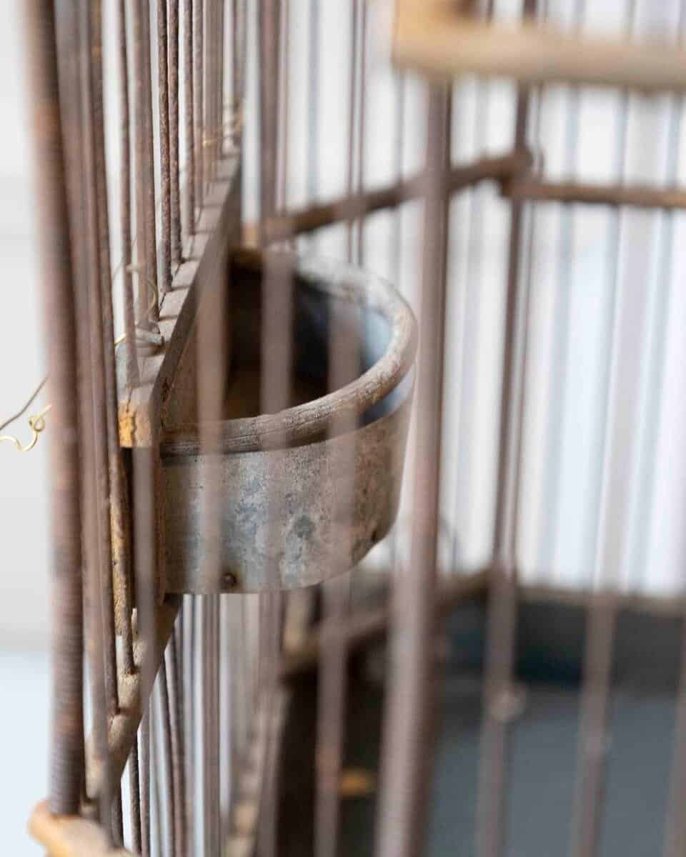 Bird Cage - JAA