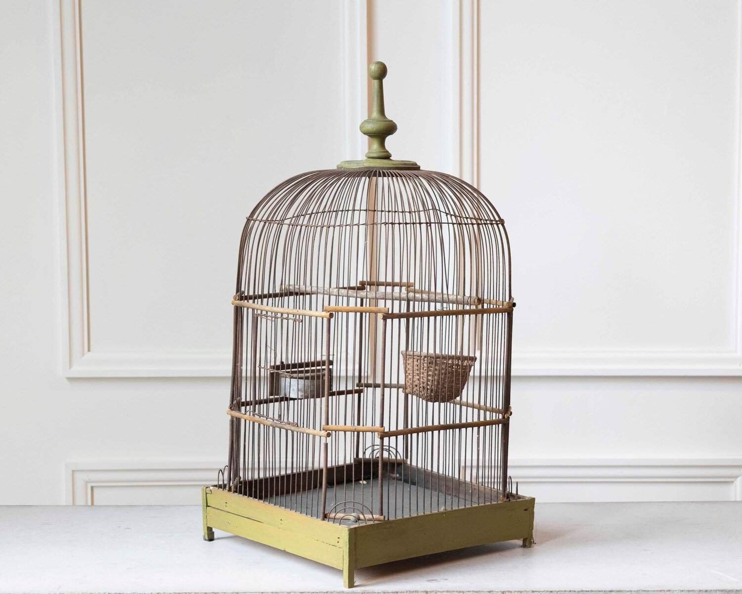 Bird Cage - JAA