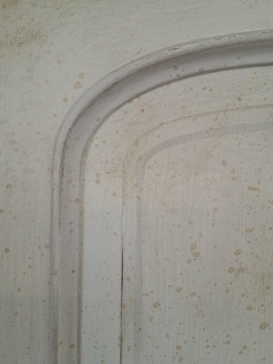 Nineteenth Century Lacquered Wardrobe - JAA