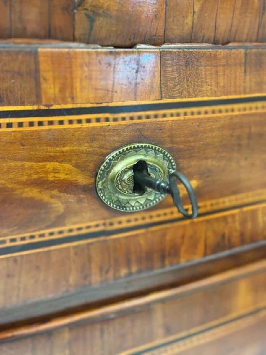 Leaf-shaped chest of drawers - JAA