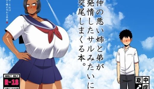 仲の悪い姉と弟が発情したサルみたいに交尾しまくる本。