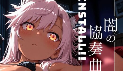 Install！！vol.2 -闇の協奏曲-