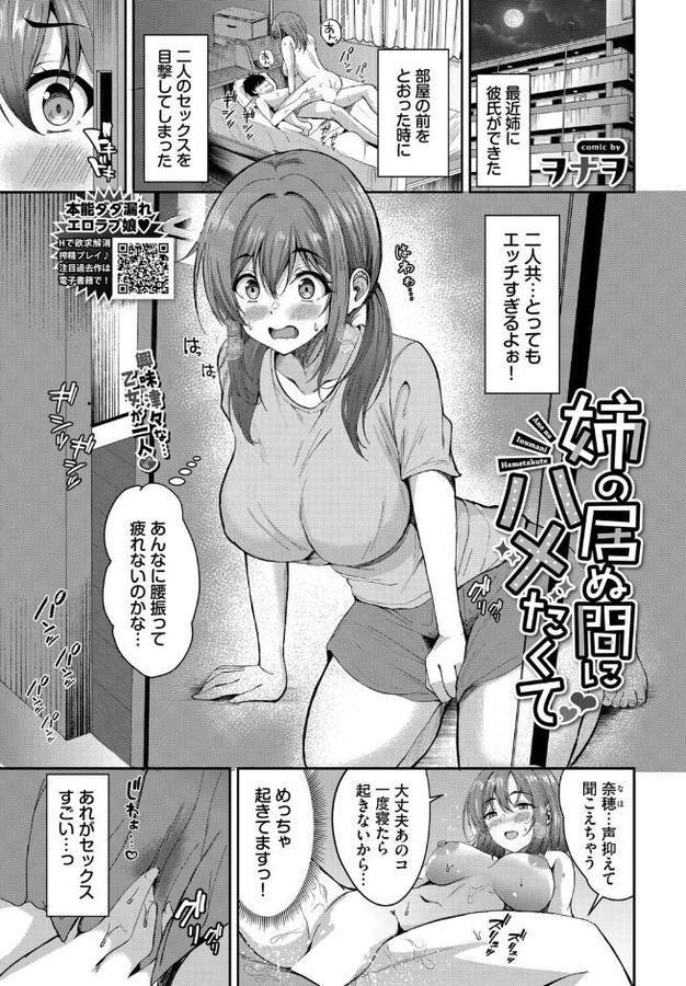 姉の居ぬ間にハメたくて