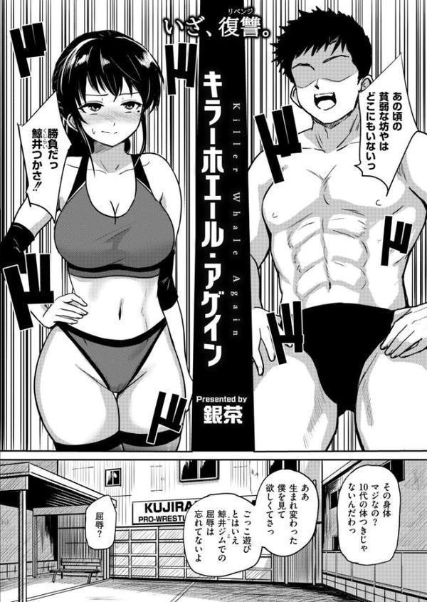 コミックカイエン(快艶) VOL.29