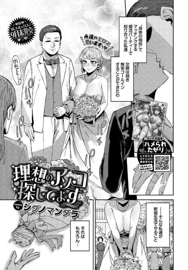 COMIC BAVEL 2025年11月号 hitomi raw無料エロ漫画(同人誌)サンプル画像015