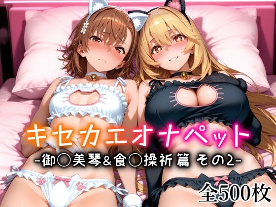 キセカエオナペット -御◯美琴＆食◯操祈篇 その2-