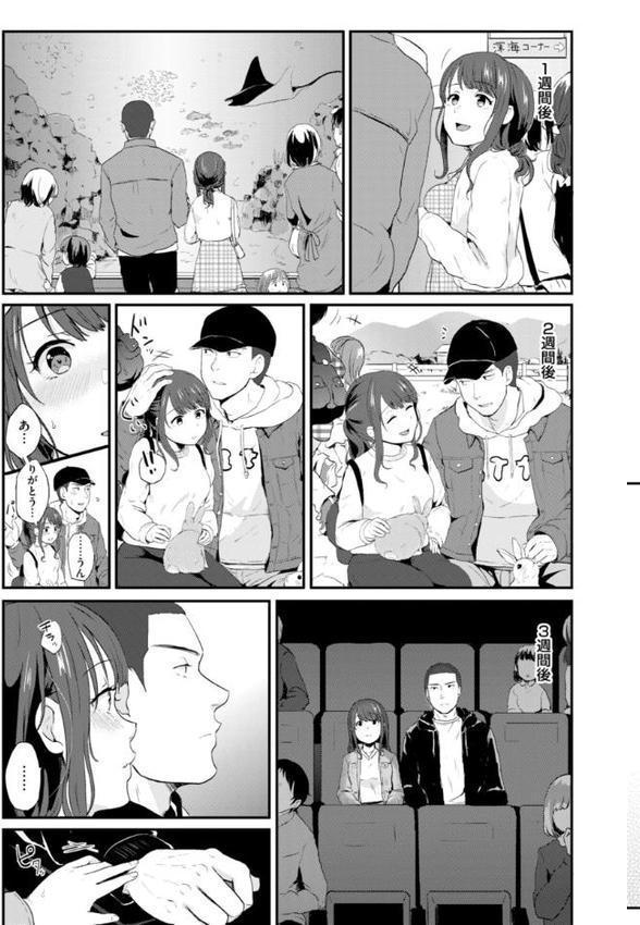 ネツアイプログレス