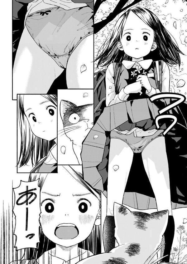 ねこ戯らし 人猫同盟