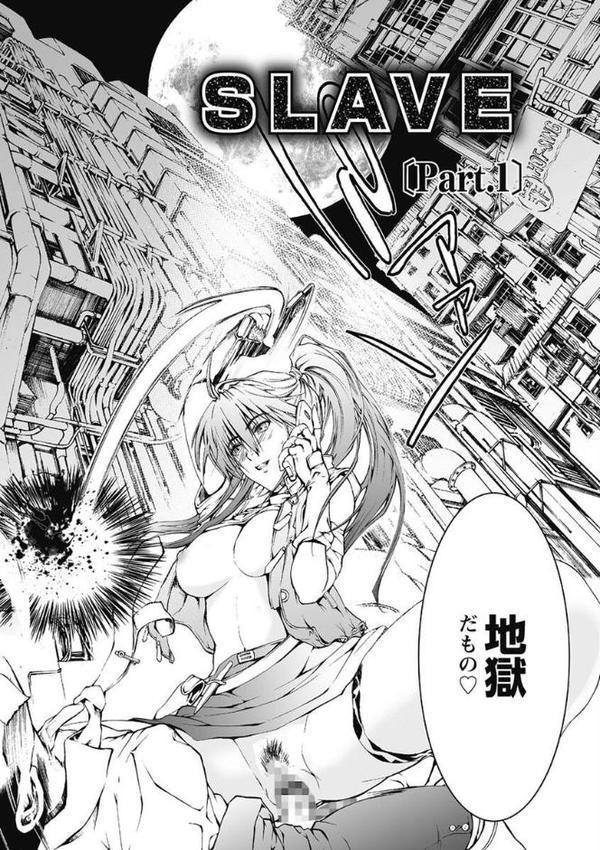 奴●調教師 SLAVE BREAKER