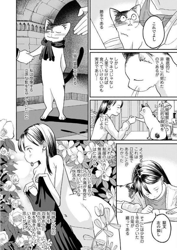 ねこ戯らし 人猫同盟