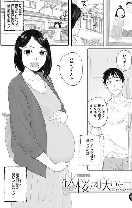 秋桜が咲いた日に【単行本版】