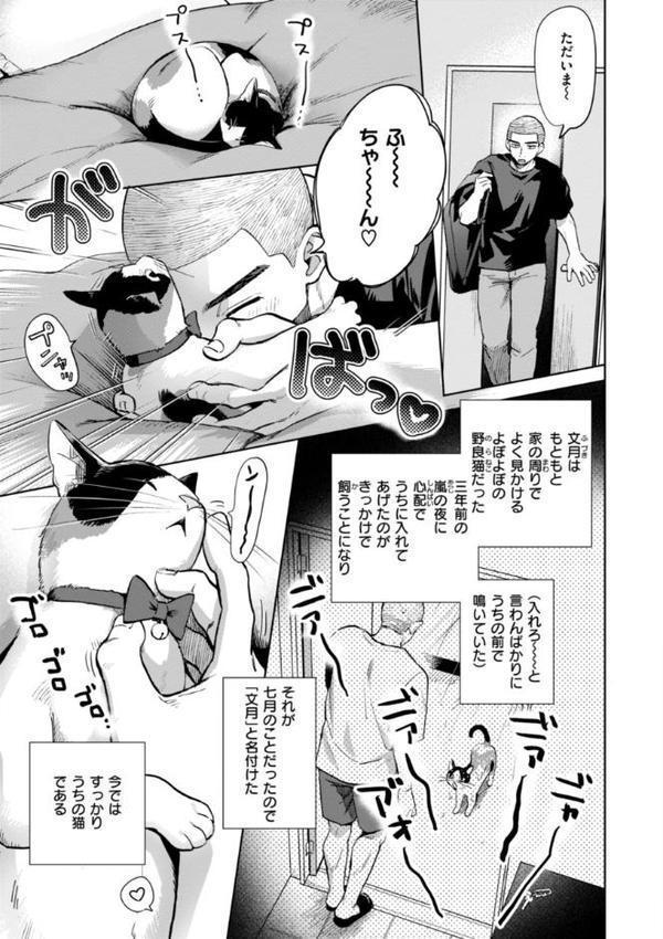 めちゃくちゃになろうよ