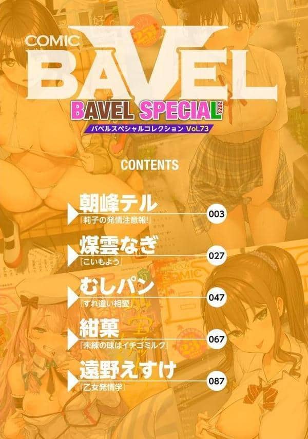 COMIC BAVEL SPECIAL COLLECTION（コミックバベル スペシャルコレクション）VOL73