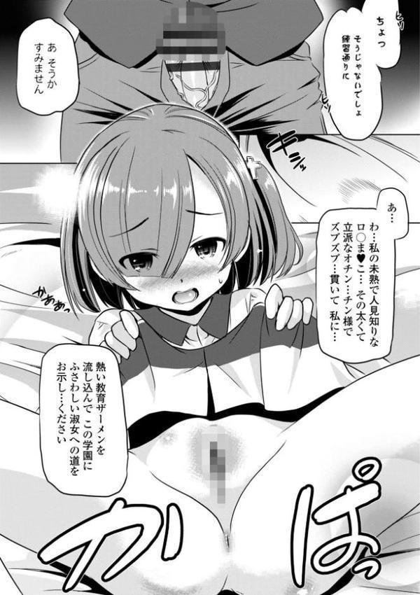 ちっぱいの楽園【デジタル版】