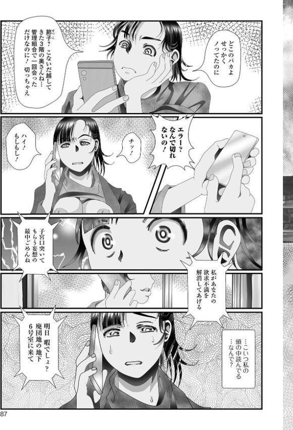 変態痴女奥様【通常版】