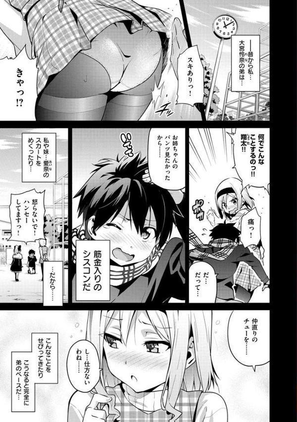 シスターブリーダー hitomiエロ漫画raw(同人誌)無料サンプル画像005