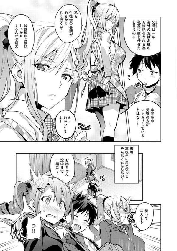 シスターブリーダー hitomiエロ漫画raw(同人誌)無料サンプル画像007