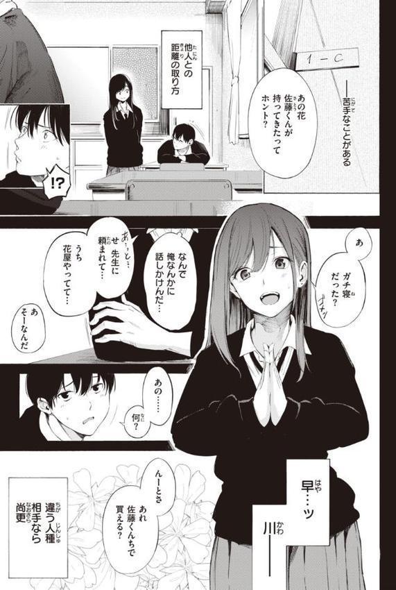 フラストレーションガールズ