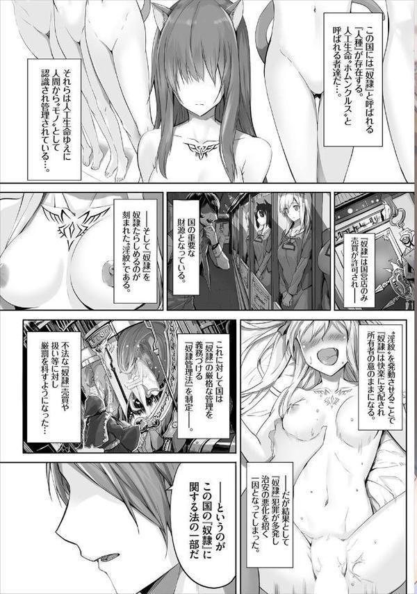 愚か者は猫耳奴●に依存する〜初めての調教生活〜合本版 1