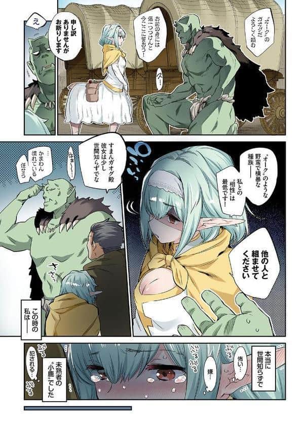 異邦ノ乙女フルカラーシリーズ （1） 愛しのオーク様