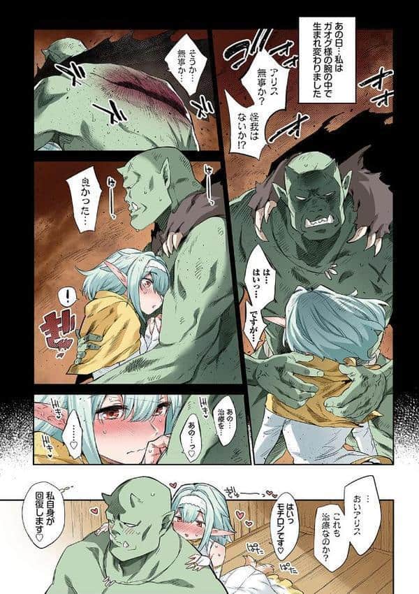 異邦ノ乙女フルカラーシリーズ （1） 愛しのオーク様