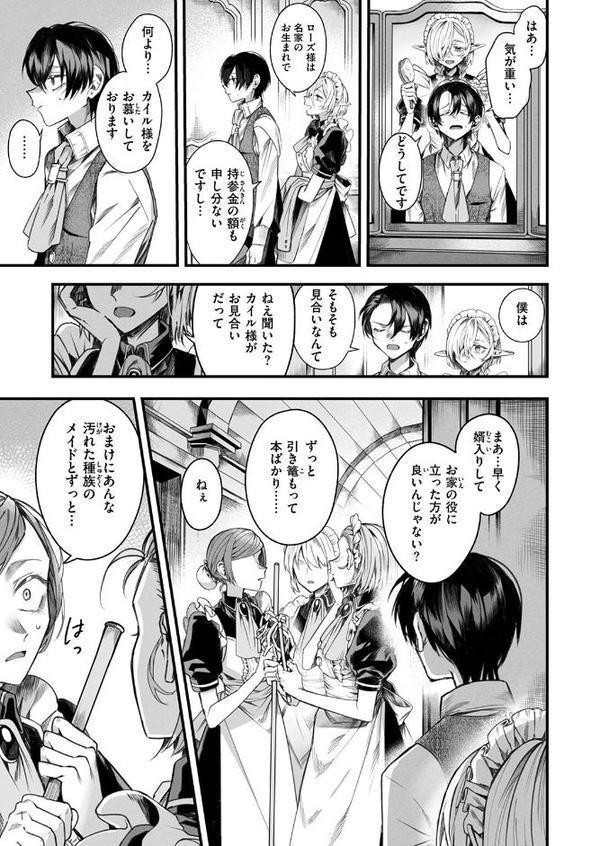 元娼婦のメイドは領主の次男坊に恋をする