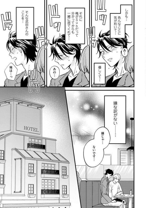 エリートSubは王子様に躾けられたい【極】 【電子限定かきおろし漫画付】