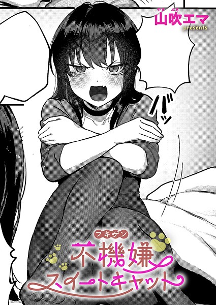 不機嫌スイートキャット