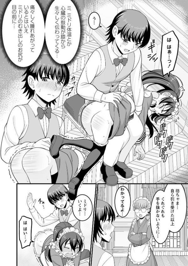 ドジっ子メイドに愛のお仕置きを！