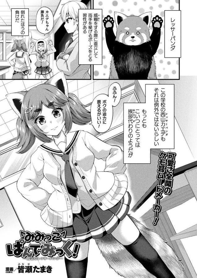 みみっこ・ぱんでみっく！―陽気なレッサーパンダ―【単話】