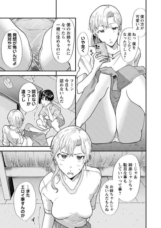 僕だけが知ってる姉ちゃんのメス顔【デジタル特装版】