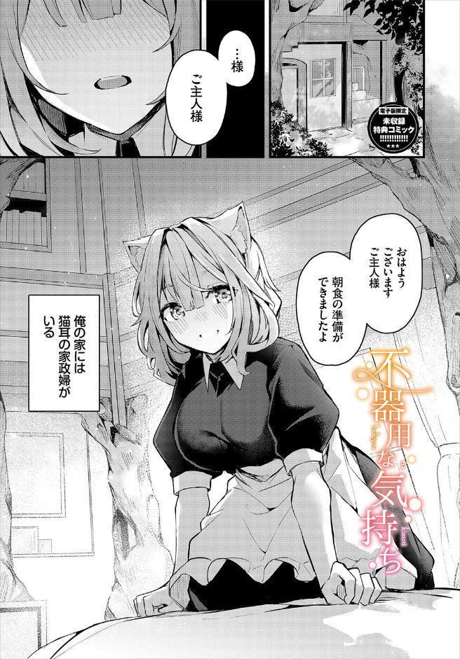 不器用に愛して(未収録作品150ページ付き)【デジタル特装版】【FANZA限定版】 hitomiエロ漫画raw(同人誌)無料サンプル画像033