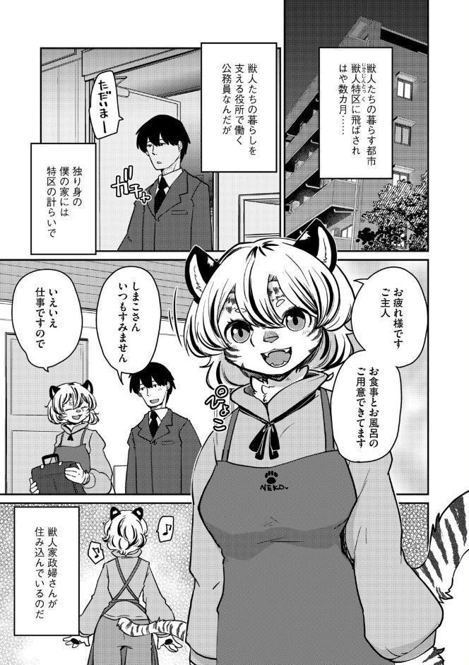 しましまハニー虎ップ【前編】