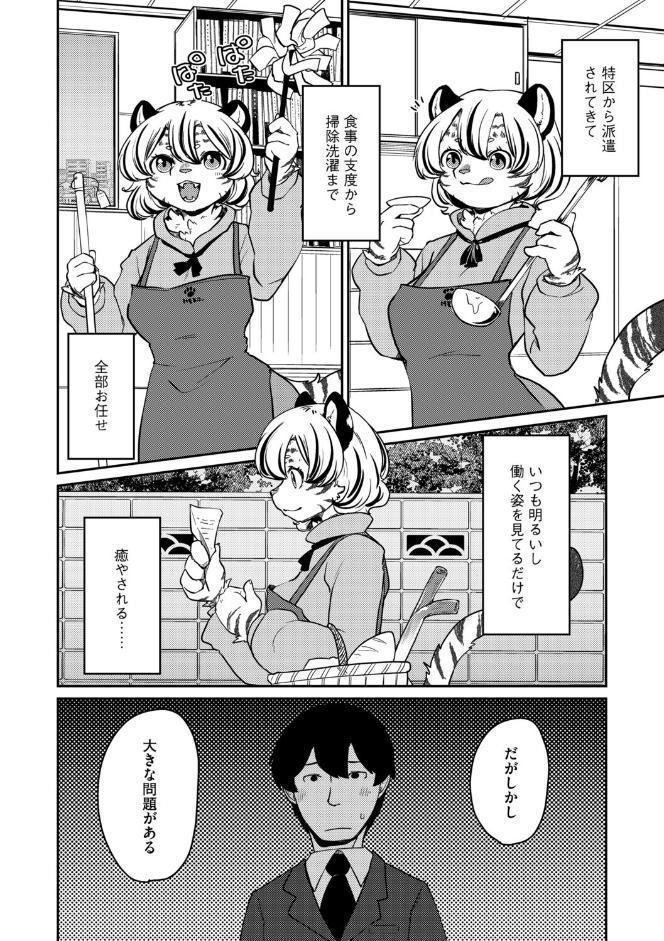 しましまハニー虎ップ【前編】