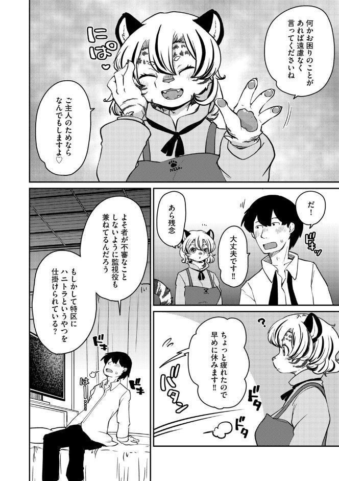 しましまハニー虎ップ【前編】