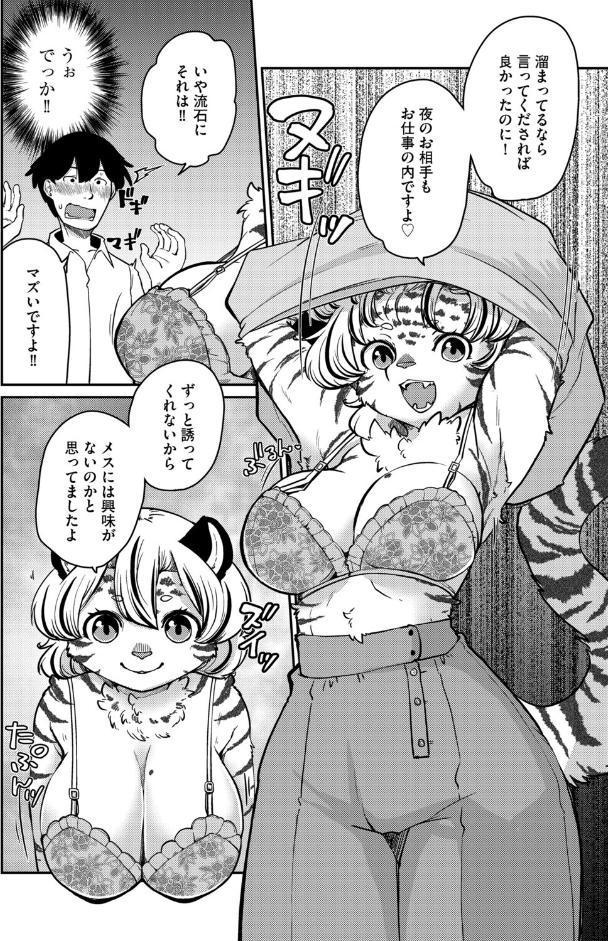 しましまハニー虎ップ【前編】