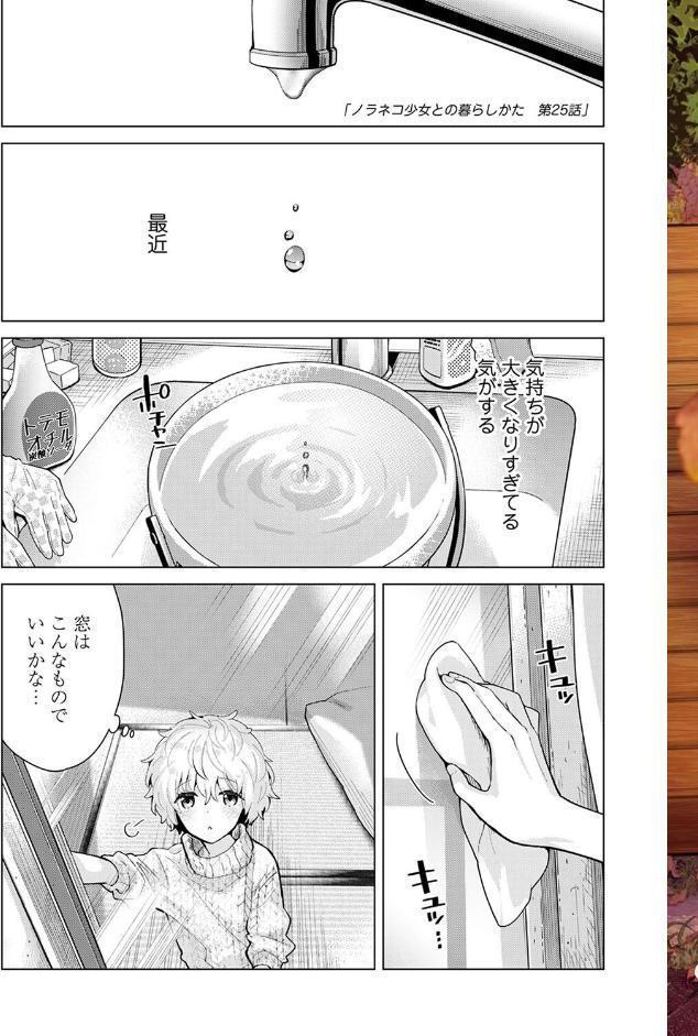 【単行本版】ノラネコ少女との暮らしかた 第4集