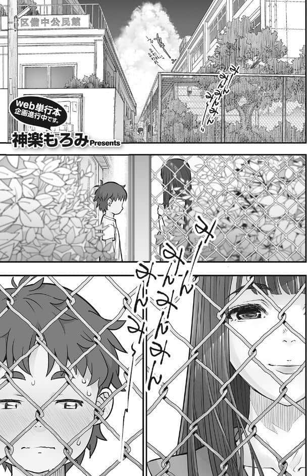 かなあみごしのなつやすみ