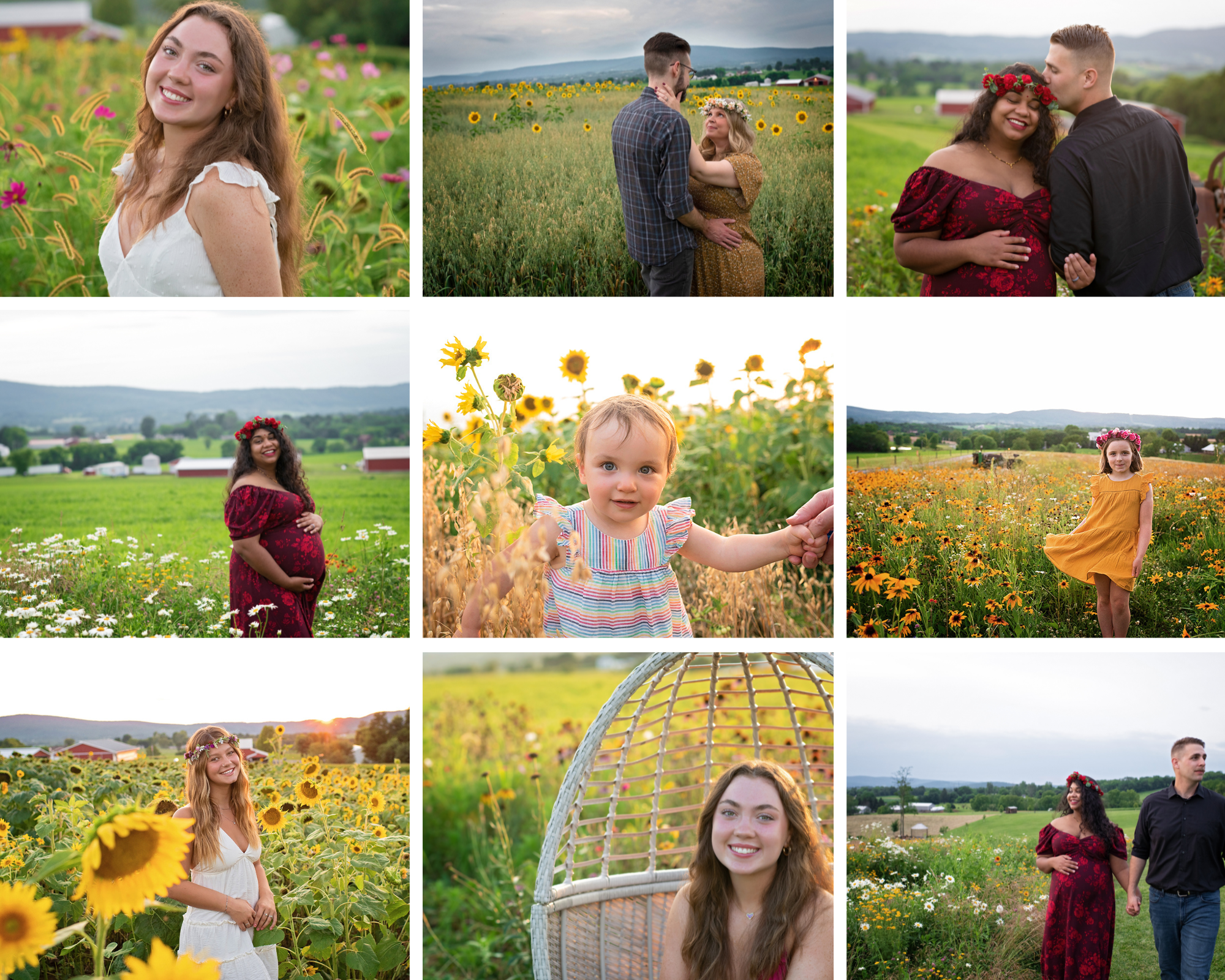 Best location for summer photos in wildflower and sunflower fields on farm in Maryland