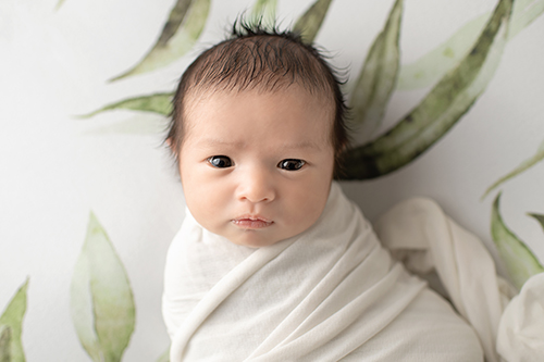 Older newborn baby swaddled on beautiful backdrop