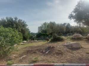 תצלום בוקר מירושלים לאחר רעידת האדמה שהורגשה בלילה