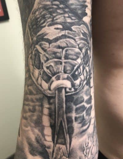 Jesse Britten Tattoo, St. Augustine, FL Detailed black and gray snake tattoo on arm, showing snake head and tongue.