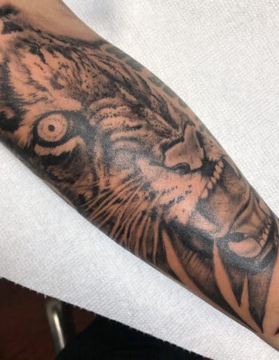 Jesse Britten Tattoo, St. Augustine, FL Forearm tattoo of a snarling tiger with detailed shading