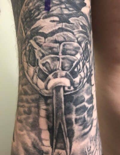 snake tattoo , black and grey , statue tattoo , St Augustine tattoo artist