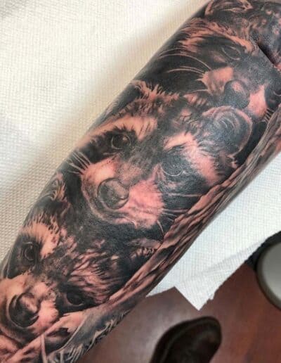 raccoon tattoo, black and grey , portrait tattoo , St Augustine tattoo artist