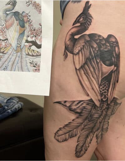 Jesse Britten Tattoo, St. Augustine, FL Black and gray peacock tattoo on thigh, next to a colorful peacock illustration.